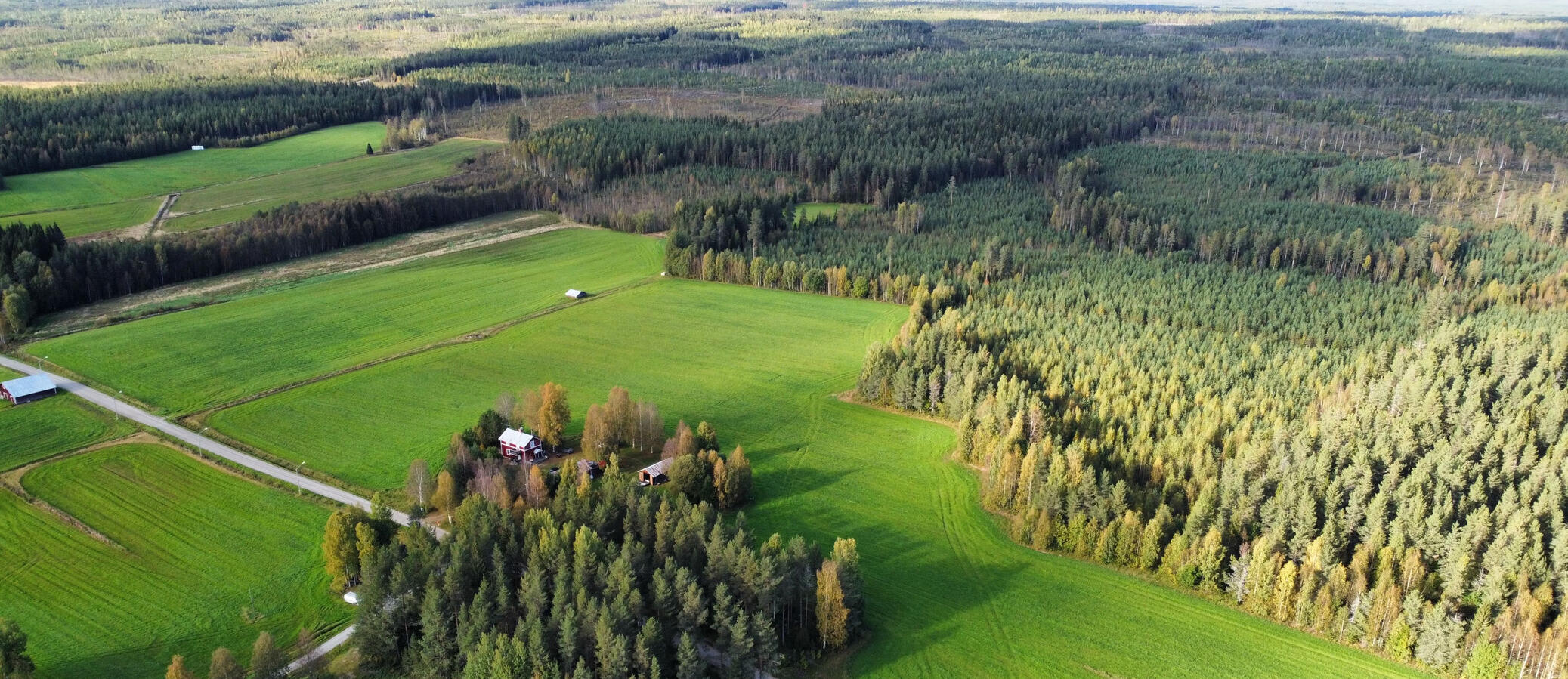 Flygbild Flygbild