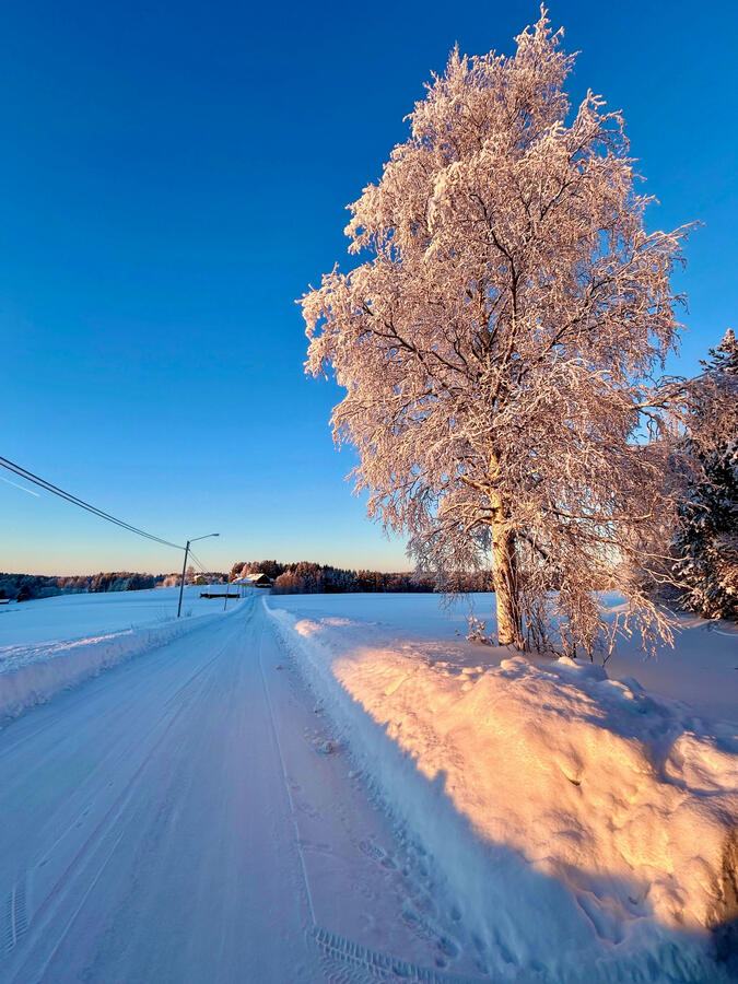 Vinter Vinter