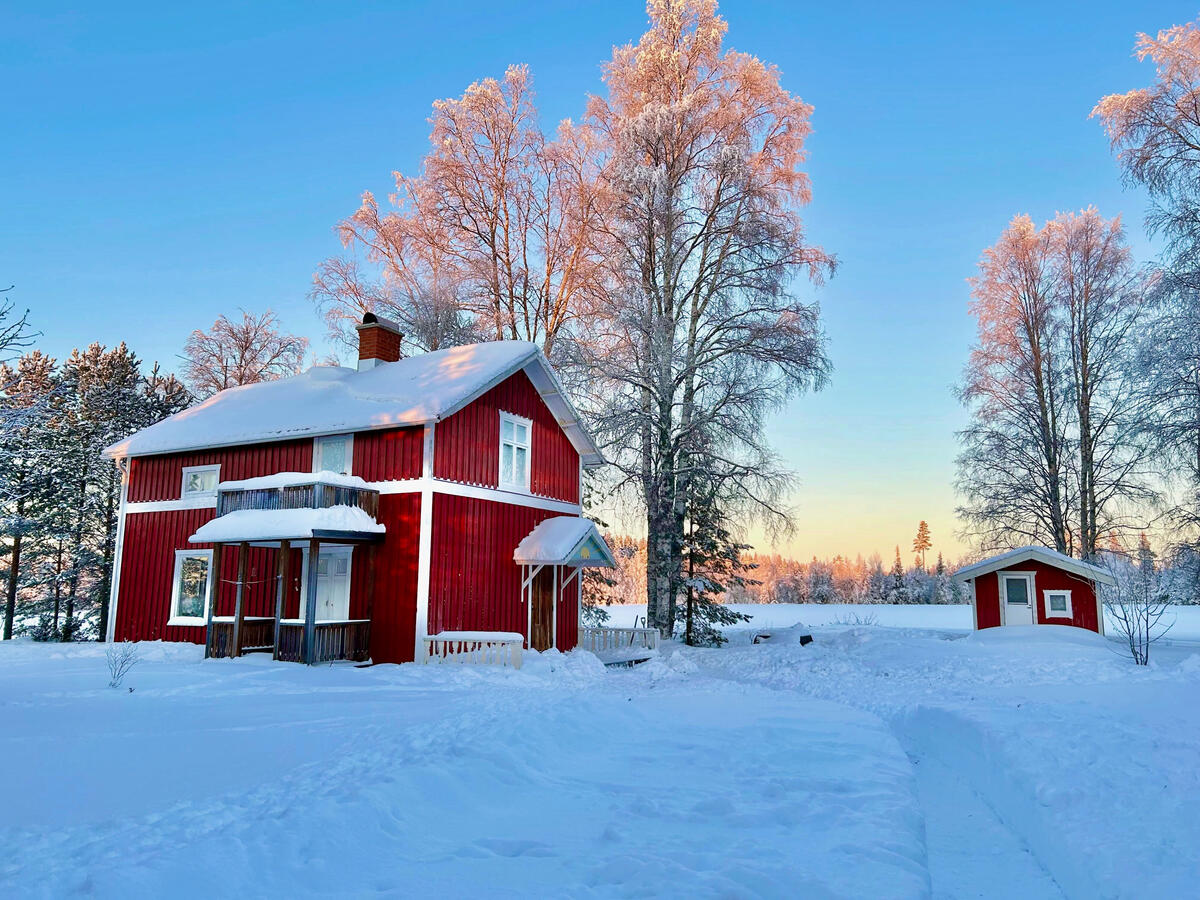 Vinter Vinter