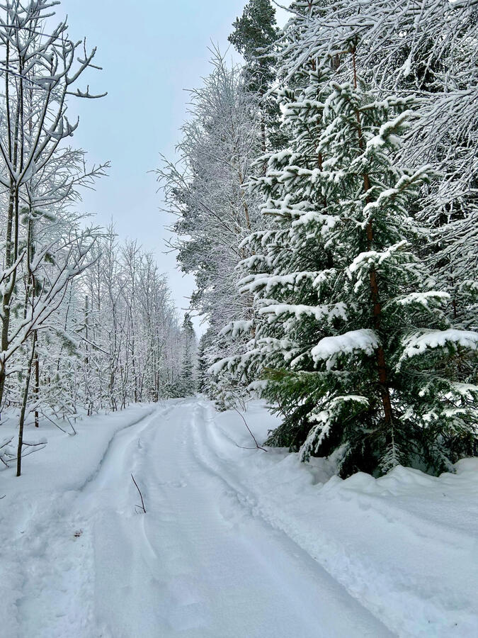 Vinter Vinter