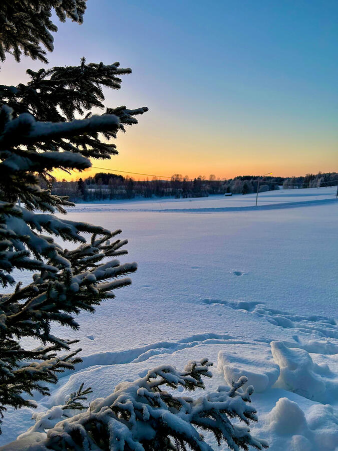 Vinter Vinter